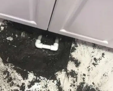盘锦市查漏水哪家好